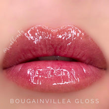 Load image into Gallery viewer, Moisturizing Gloss
