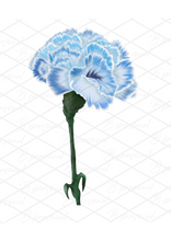 Load image into Gallery viewer, Printed Birthday Cards