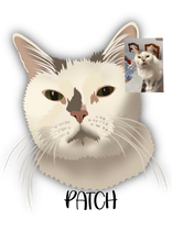 Load image into Gallery viewer, Animal Hand Drawn drawings