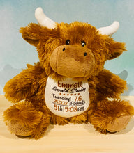 Load image into Gallery viewer, Personalised Teddies