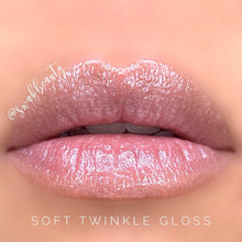 Load image into Gallery viewer, Moisturizing Gloss
