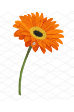 Load image into Gallery viewer, Printed Birthday Cards
