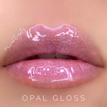 Load image into Gallery viewer, Moisturizing Gloss
