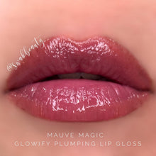 Load image into Gallery viewer, Juicy Plumping Lip Gloss
