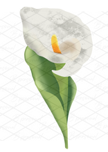 Load image into Gallery viewer, Printed Birthday Cards
