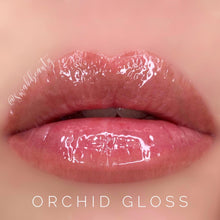 Load image into Gallery viewer, Moisturizing Gloss
